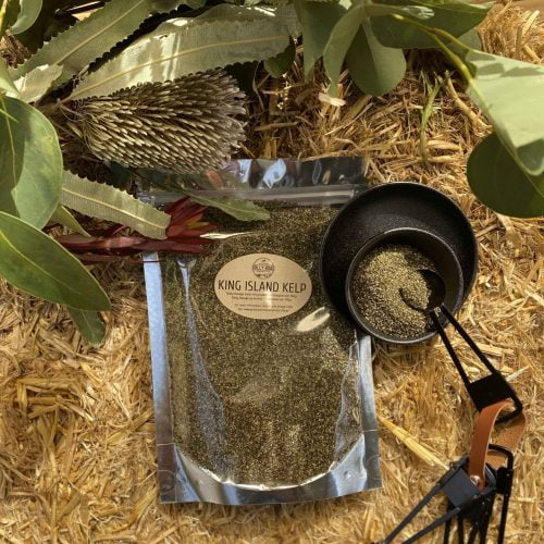 King Island Kelp - 250g