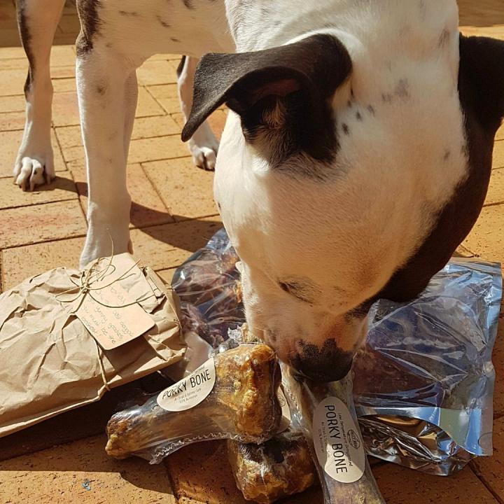 Seafood Chew Packa for Big Chompers ๐ - Image 3