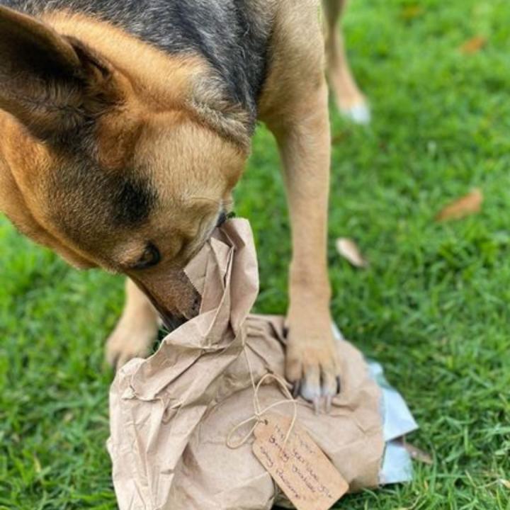 Seafood Chew Packa for Big Chompers ๐ - Image 4