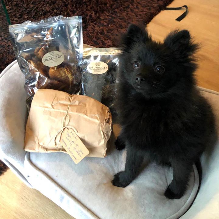 Chew Packa for Little Teef - Image 5