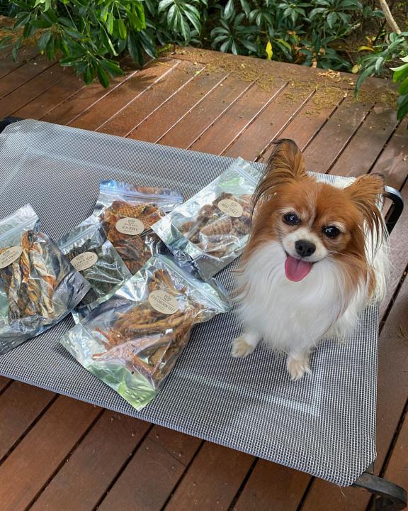 Chew Packa for Little Teef - Image 2