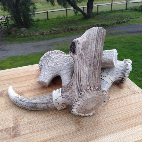 Gig-Antlers - 250g +