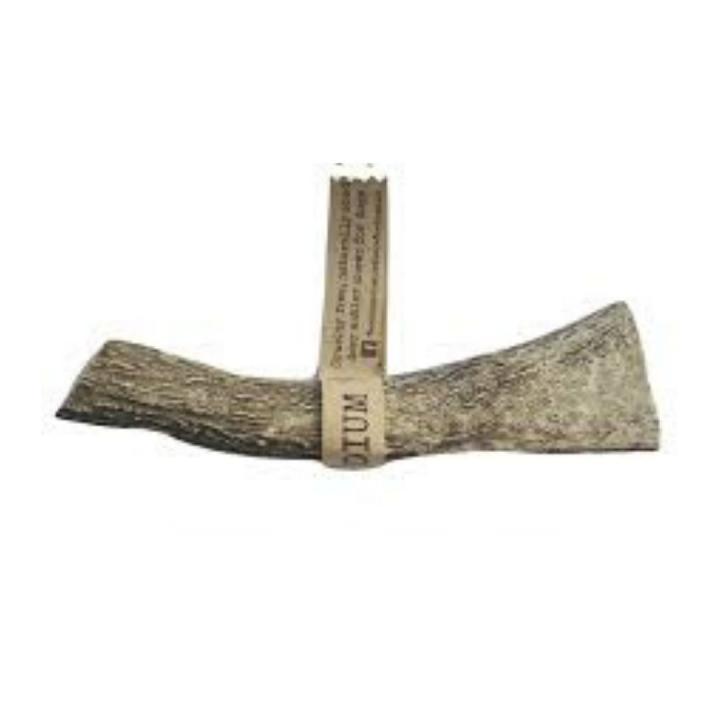 Medium Antlers - Image 4