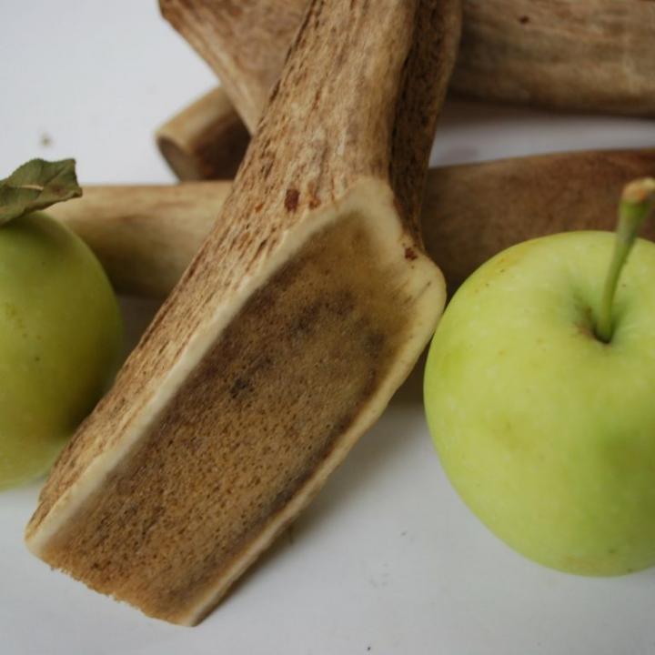 Apple Cider Antlers - Image 3