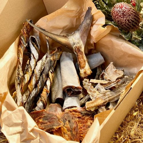Seafood Chew Packa for Big Chompers 🐟