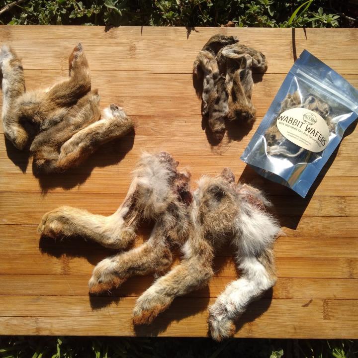 Rabbit Hoppers - 4 Pack - Image 2