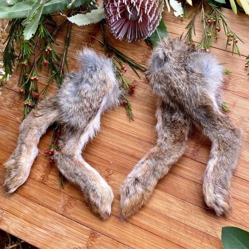 Rabbit Hoppers - 4 Pack