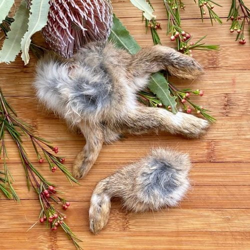 Rabbit Paws - 4 Pack