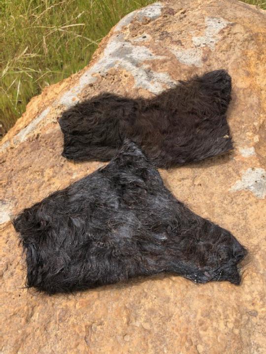 Cow Hide