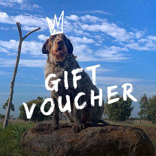 Gully Road Gift Voucher - $25