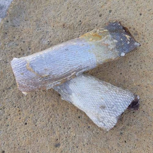 Crispy Fish Rolls